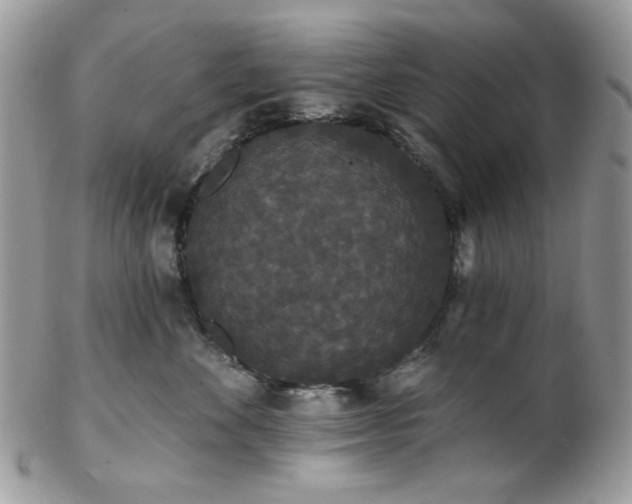 X0000102810524200808181226