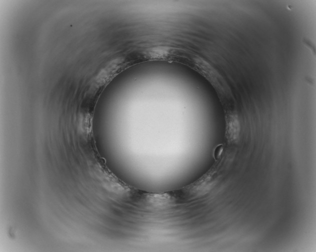 X0000102810525200808181226