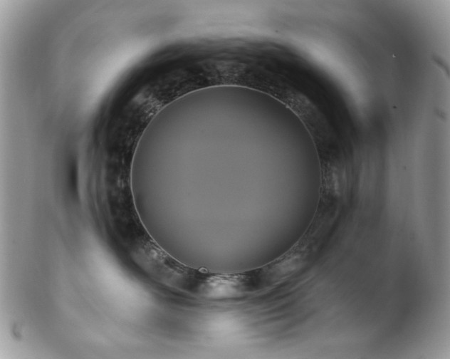 X0000102810526200808181226