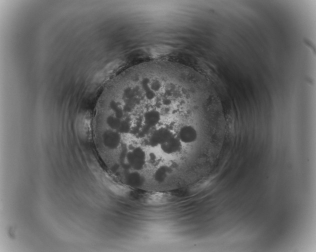 X0000102810527200808181226