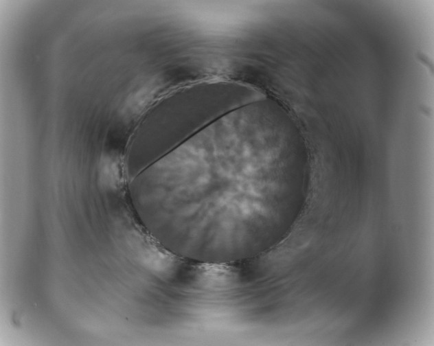 X0000102810528200808181226