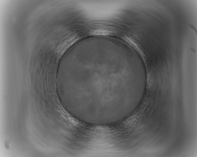 X0000102810529200808181225