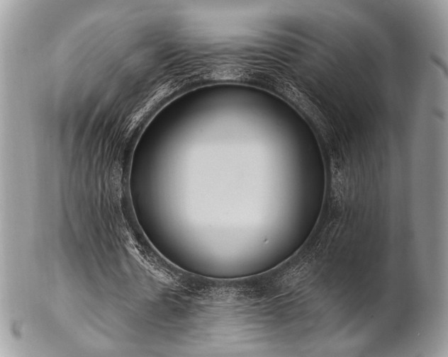 X0000102810530200808181225