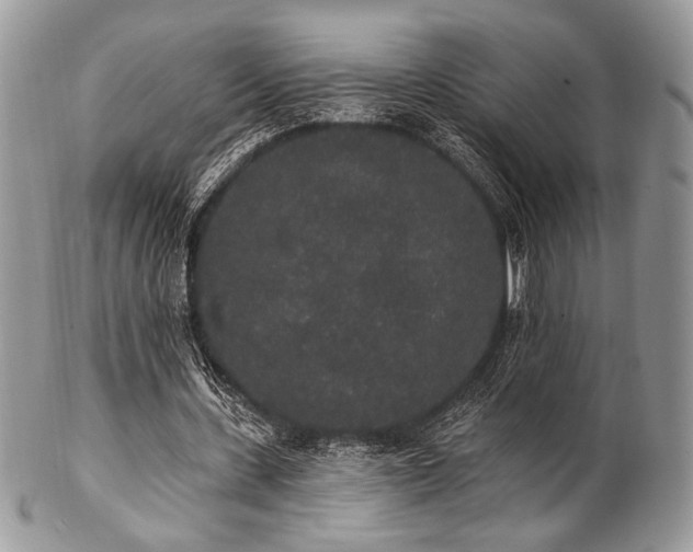 X0000102810531200808181225