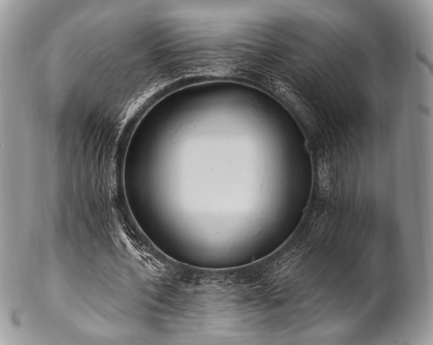 X0000102810532200808181225