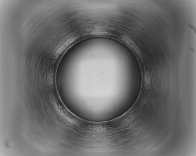 X0000102810533200808181225