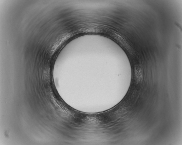 X0000102810534200808181225