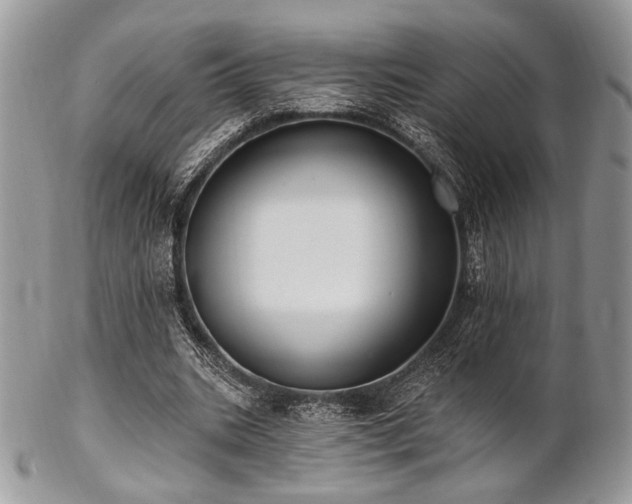 X0000102810535200808181225