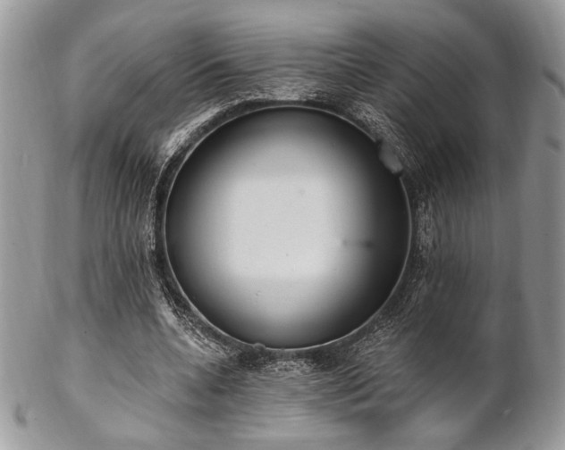 X0000102810536200808181225