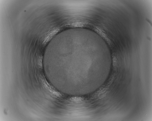 X0000102810537200808181225