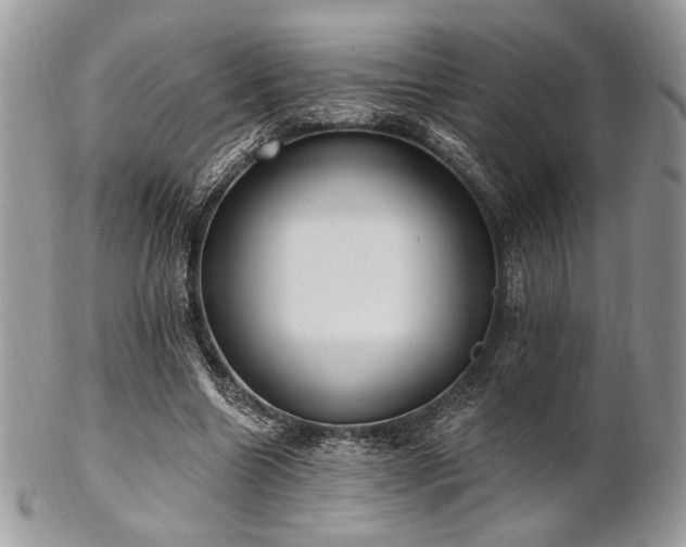 X0000102810538200808181225