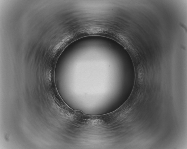 X0000102810539200808181225