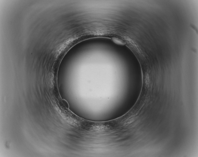 X0000102810540200808181225