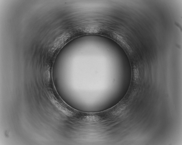 X0000102810541200808181225