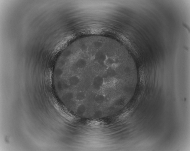 X0000102810542200808181225