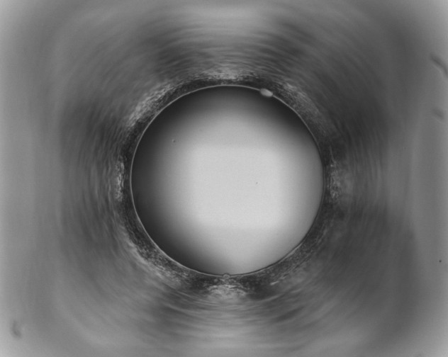 X0000102810544200808181225