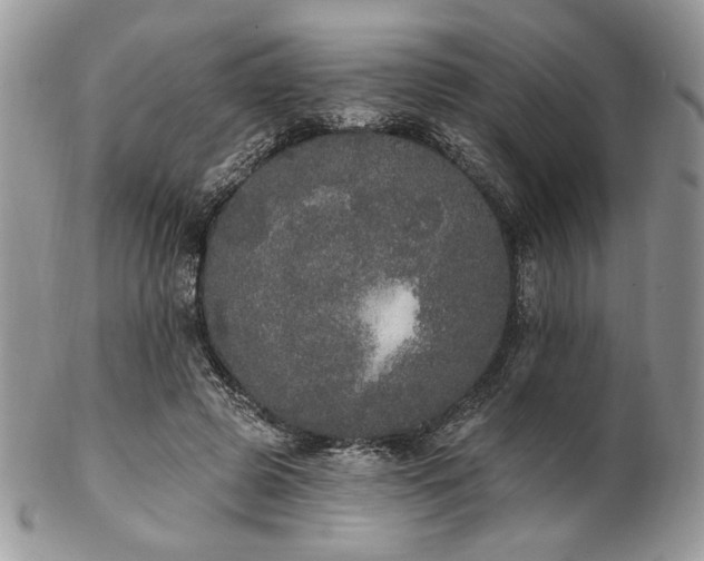 X0000102810545200808181225