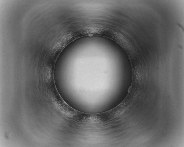 X0000102810546200808181225