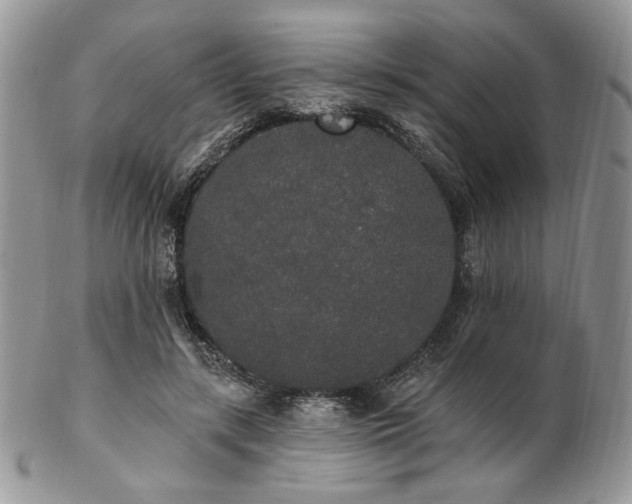 X0000102810547200808181225