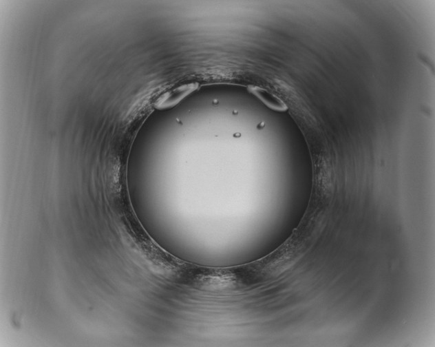 X0000102810548200808181225