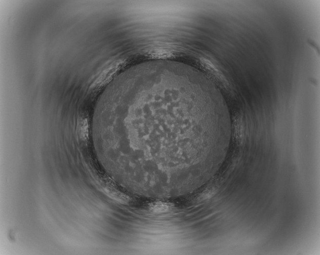 X0000102810549200808181225