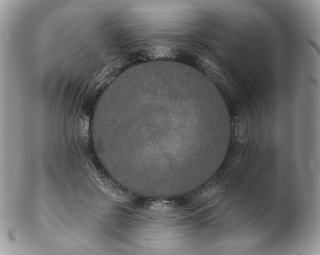 X0000102810550200808181225