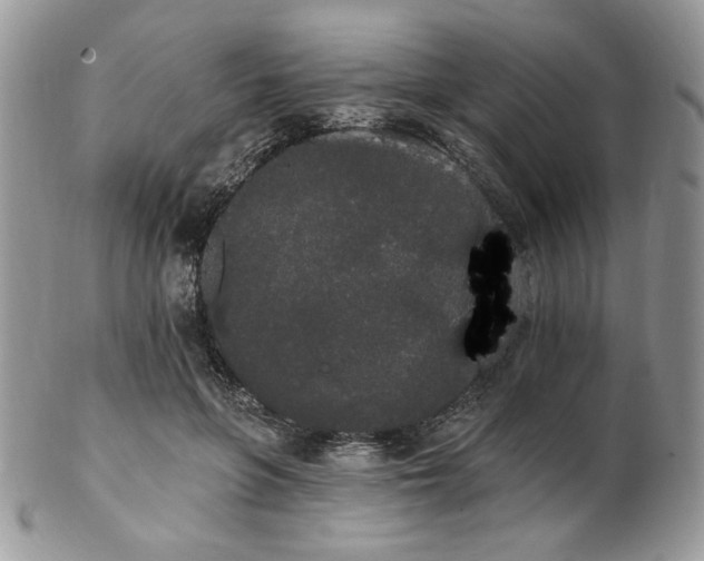 X0000102810551200808181225