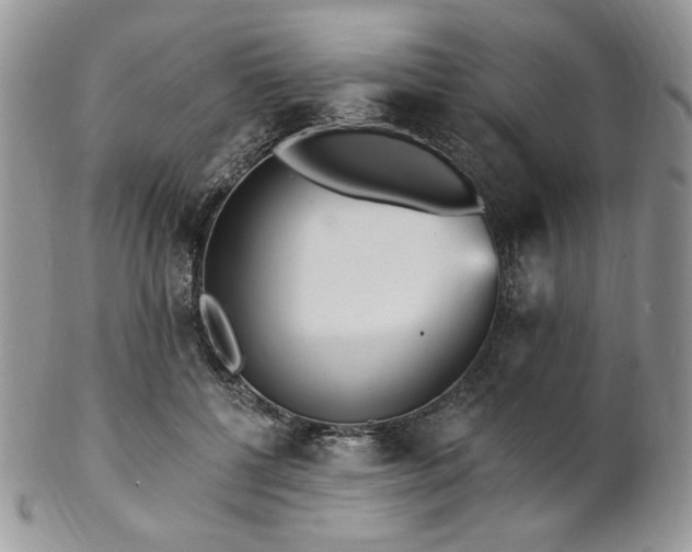 X0000102810552200808181225