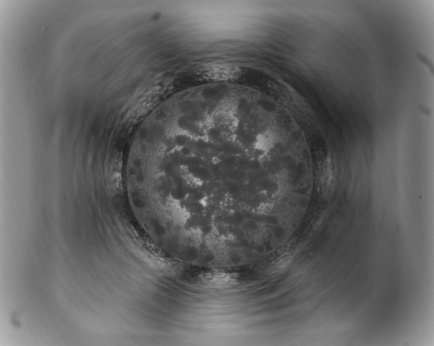 X0000102810553200808181226