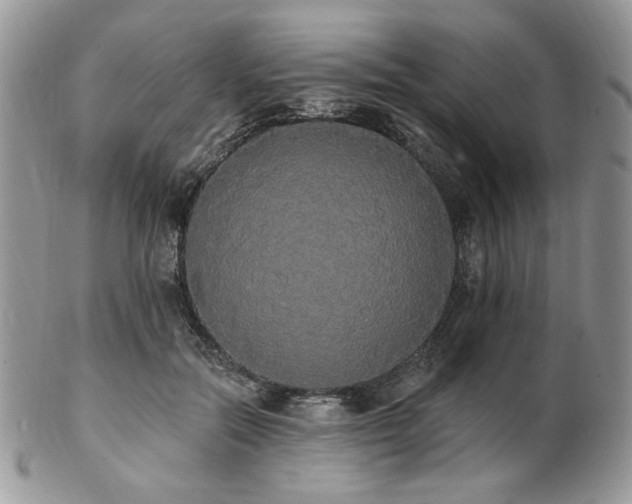 X0000102810554200808181226