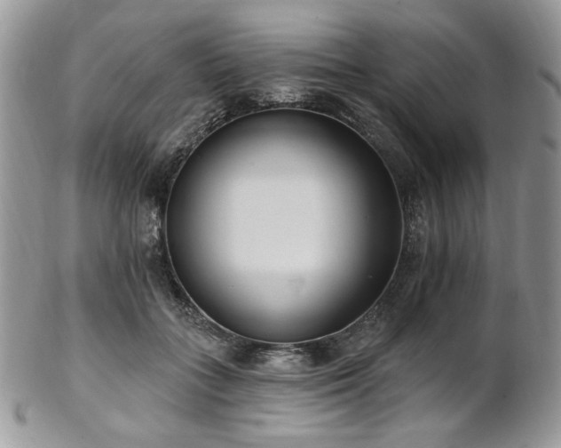 X0000102810555200808181226