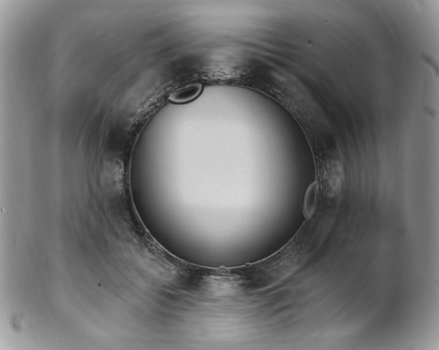 X0000102810556200808181226