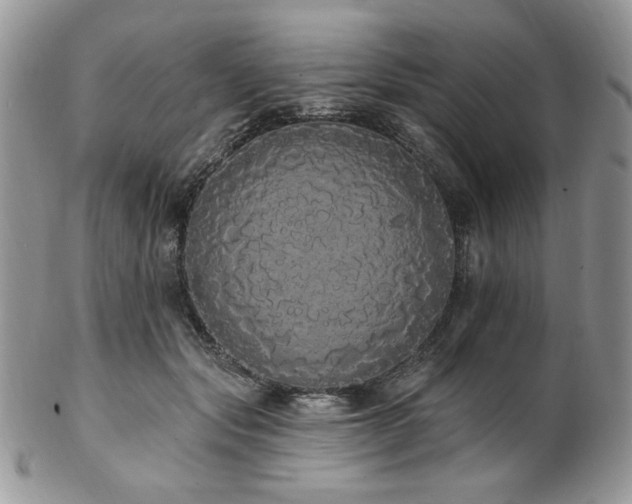 X0000102810557200808181226