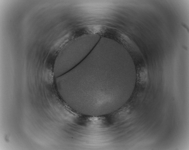 X0000102810558200808181226