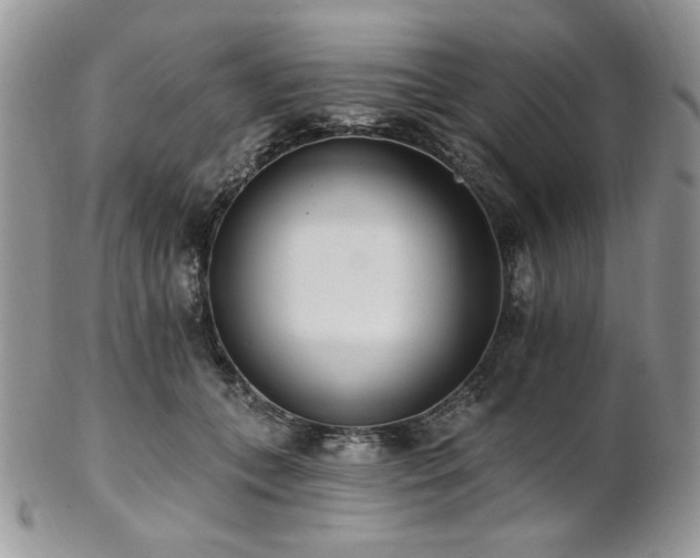 X0000102810559200808181226