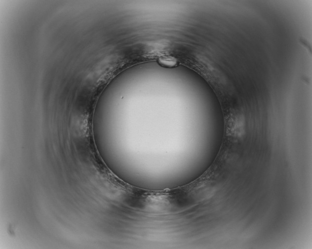 X0000102810560200808181226