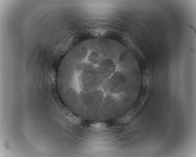 X0000102810561200808181226