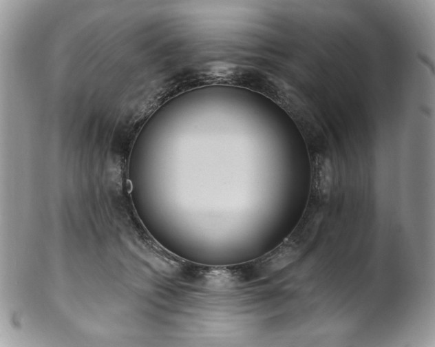 X0000102810562200808181226