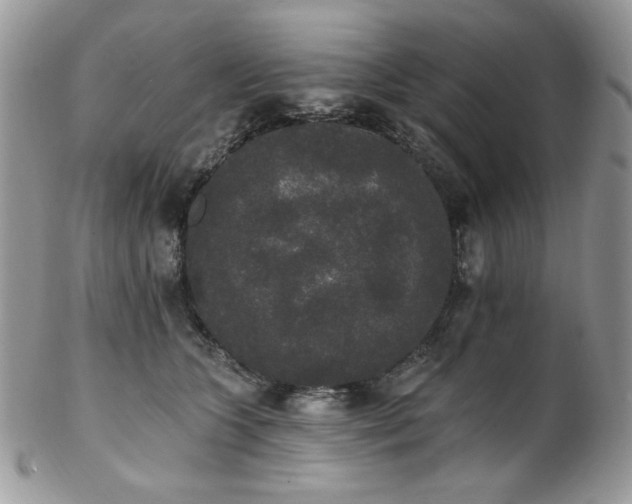 X0000102810563200808181226