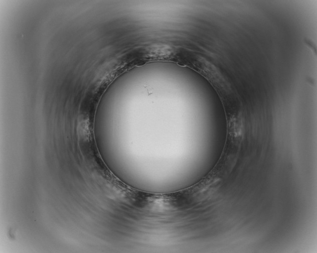 X0000102810564200808181226