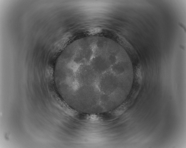 X0000102810565200808181226