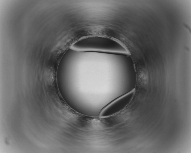 X0000102810566200808181226