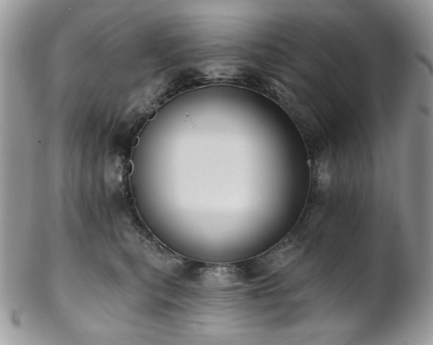 X0000102810567200808181226