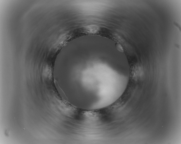 X0000102810568200808181226