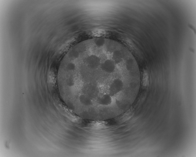 X0000102810569200808181226