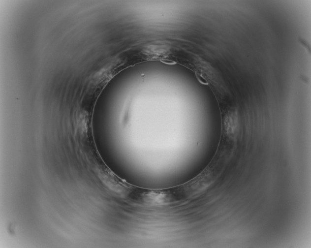 X0000102810570200808181226