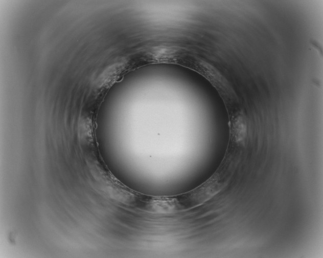 X0000102810571200808181226