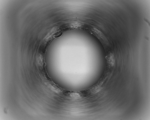 X0000102810572200808181226