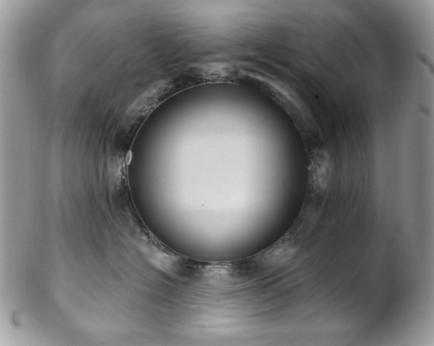 X0000102810574200808181226