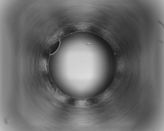 X0000102810575200808181226